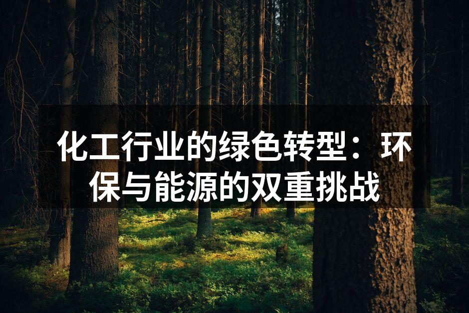 化工行业的绿色转型：环保与能源的双重挑战